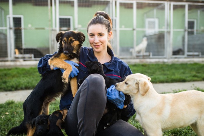 シェルター職員の女性と犬たち