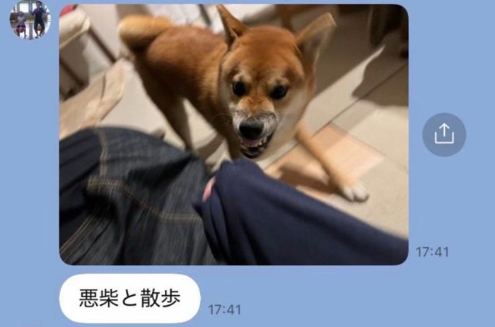 悪い顔のふうたくん