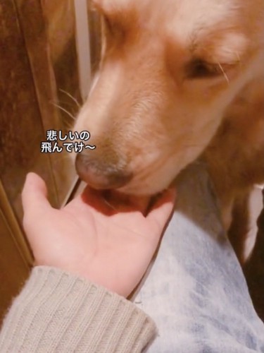 優しさに溢れてる