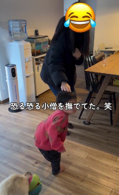 「僕たちじゃないの！？」
