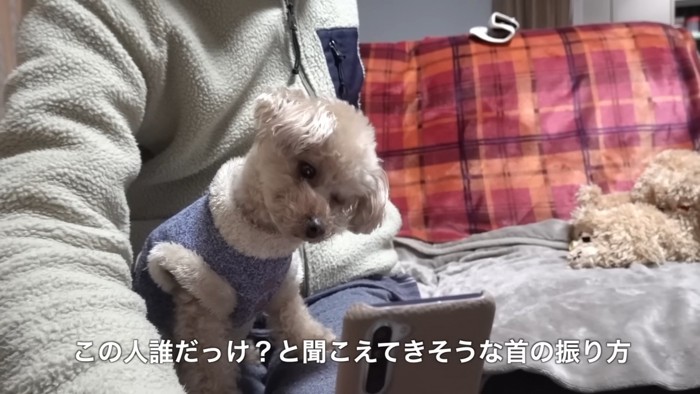 「なんで飼い主さんの声が？」