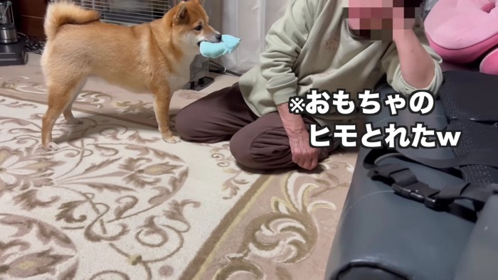 おもちゃがちぎれてしまうほど！