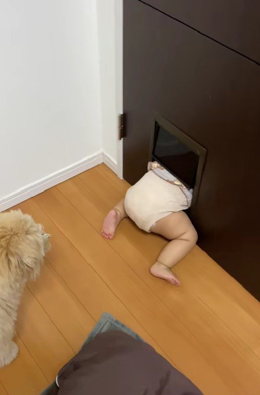 可愛すぎる光景にほっこり♡