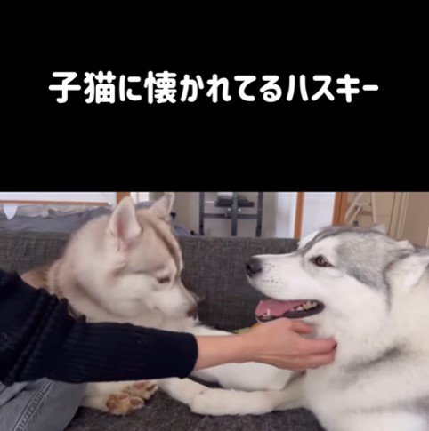 りりたん＆ここちゃん＆くぅちゃん7