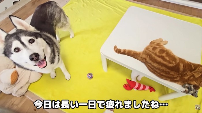 そばにいて看病する気満々！