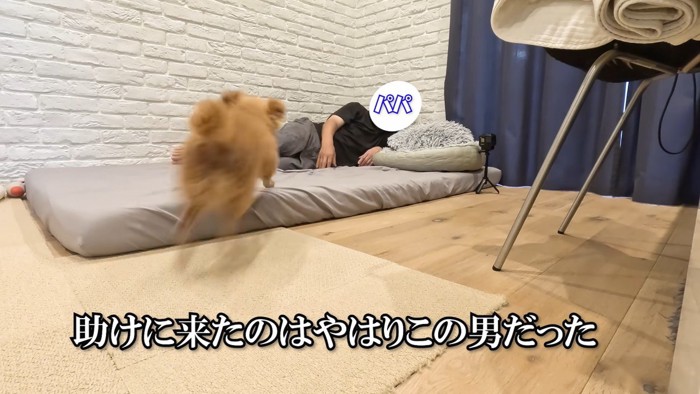 「今度は僕がパパを守る！」