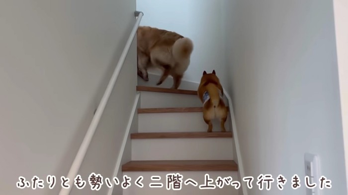 2階は寝室だよ！