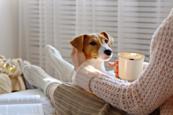 愛犬を撫でる女性