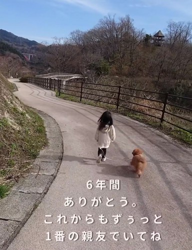 小走りする犬と子ども