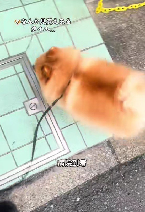 見覚えのあるタイル…