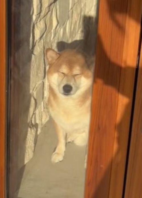 眩しそうなお顔も可愛い♡