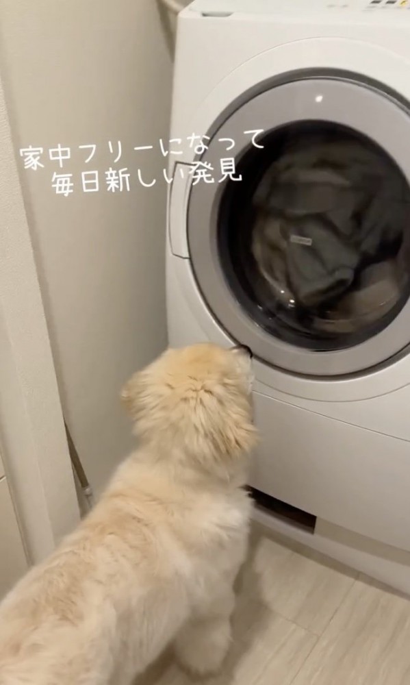 ぐるぐるが気になってる？