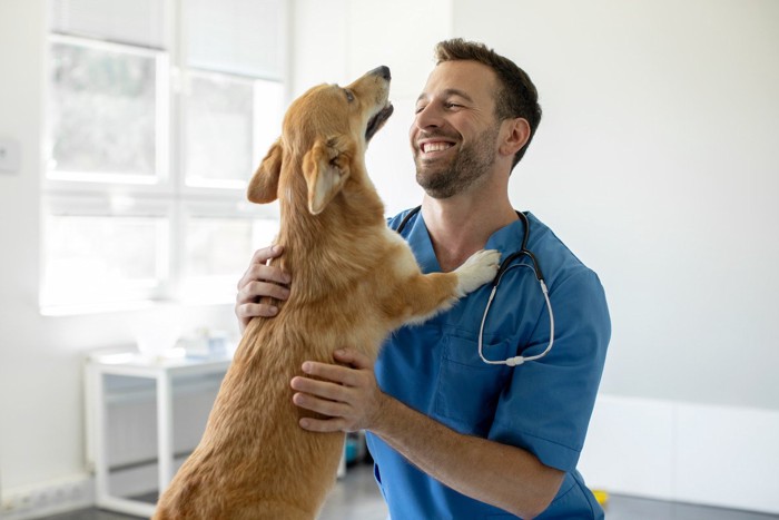 犬と獣医