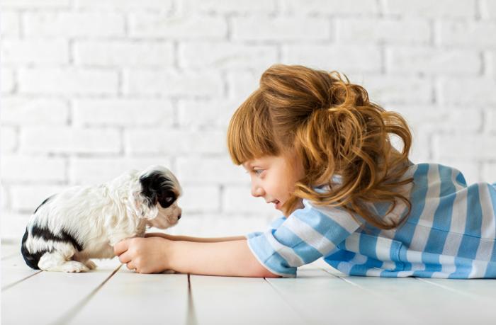 人と犬