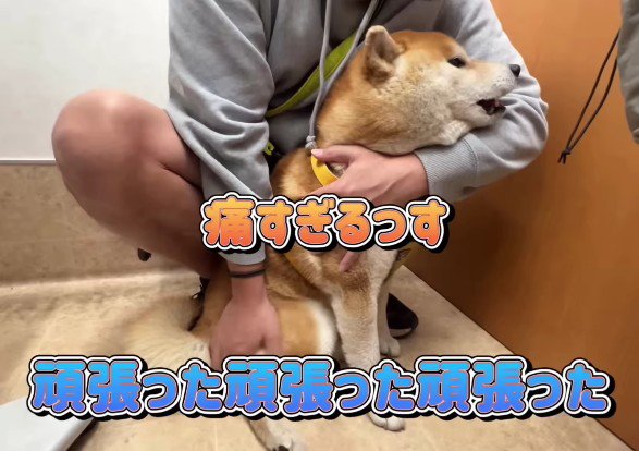 「痛かった…!」