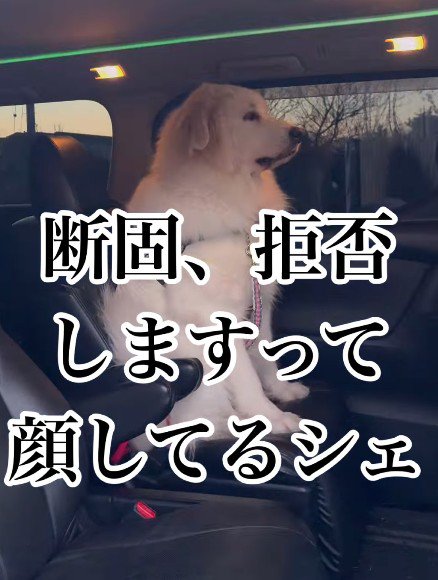「絶対にイヤ!」