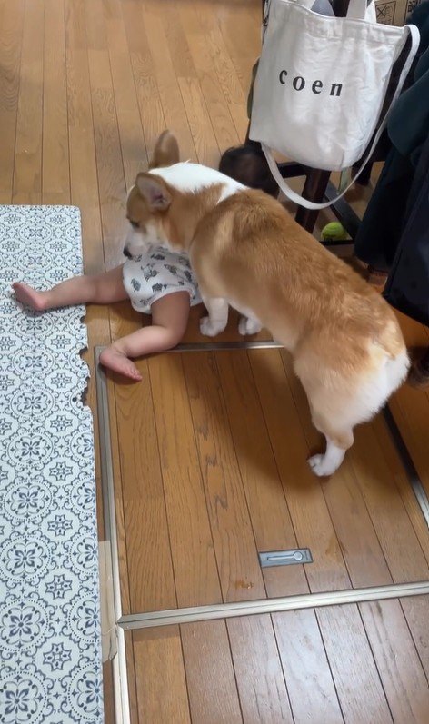 赤ちゃんを見守るまる君9