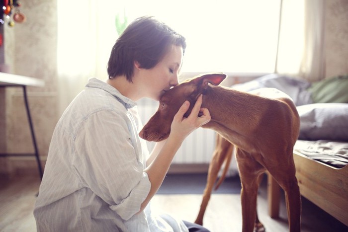 犬の額にキスをする女性