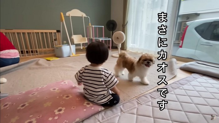 途端に賑やかに