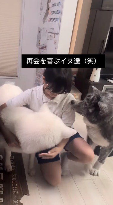 白い犬を撫でている女の子の顔をのぞき込む黒い犬