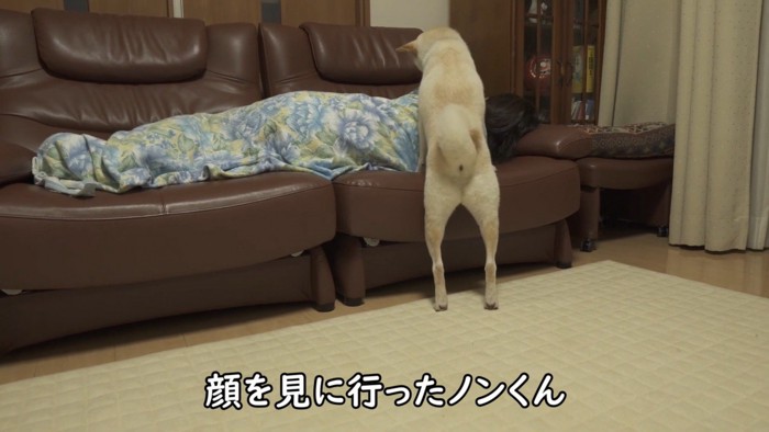 「ママ、大丈夫?」