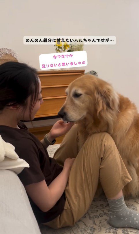 甘えながらご飯を気にするハルちゃん2