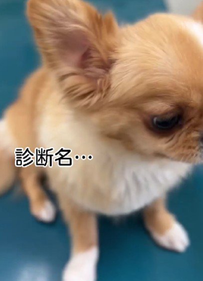 診断結果は…
