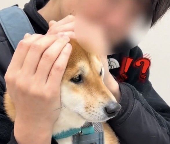 横を見て固まる犬