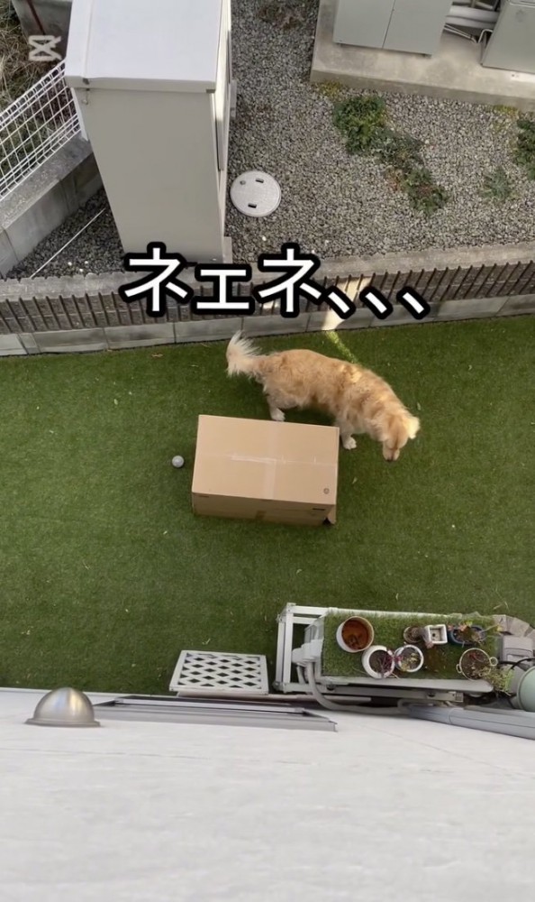 いないなぁ
