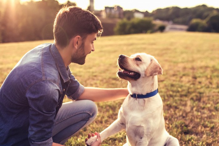 犬と男性