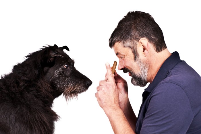 犬に話しかける男性と見つめる犬