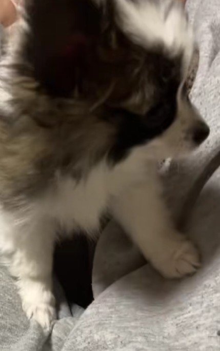 「絶対にここ!!」