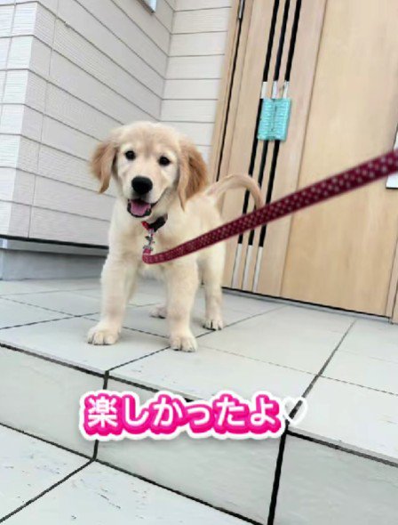 笑顔いっぱいのルカちゃんでした