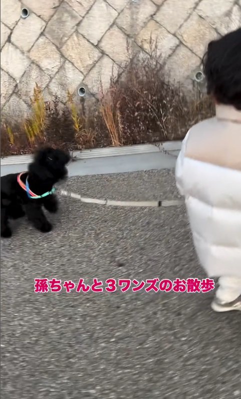 けんちゃんも一緒♪