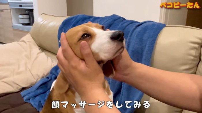 ペコちゃんの対応の違い