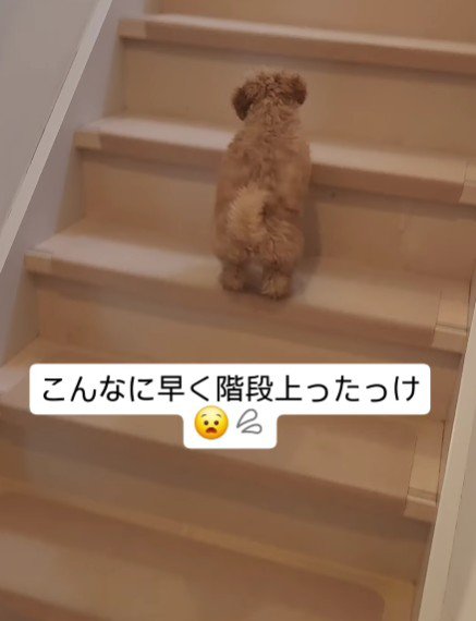 階段を勢いよく登ったり…