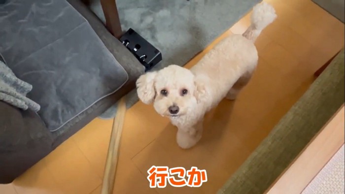 「早く行きたい」とお目目をキラキラ♪