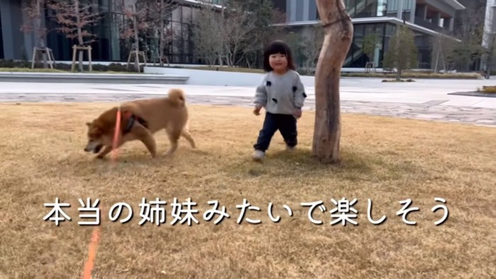 楽しそうなひよりちゃん