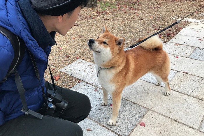 犬に話しかける女性