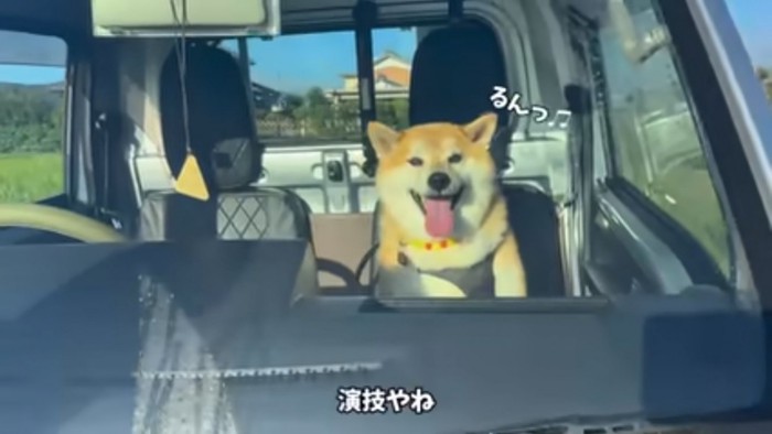 車で帰るおもちくん