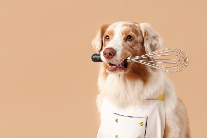 調理器具をくわえてエプロンをつけた犬