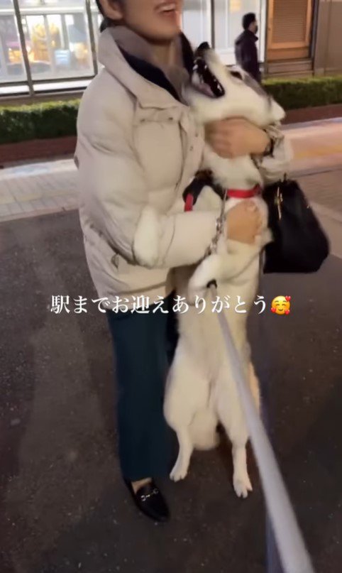 ママさんを迎えに来たイヴちゃん