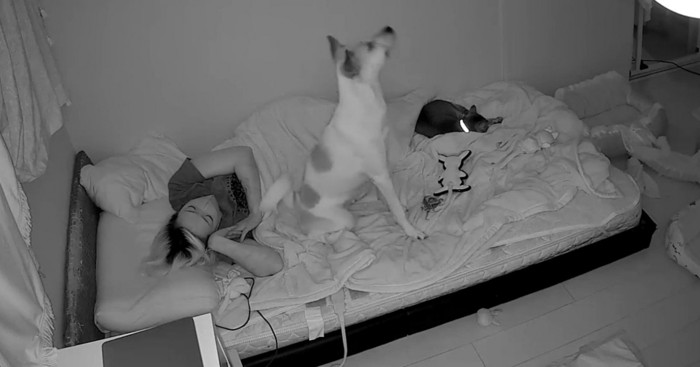 背筋を伸ばしていた