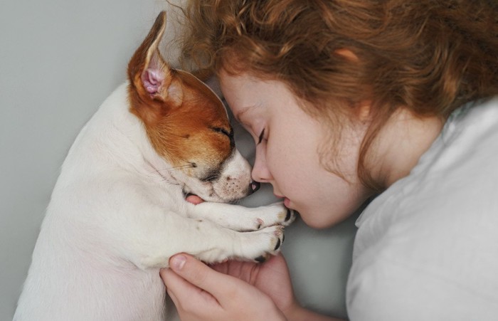 女の子と眠る犬