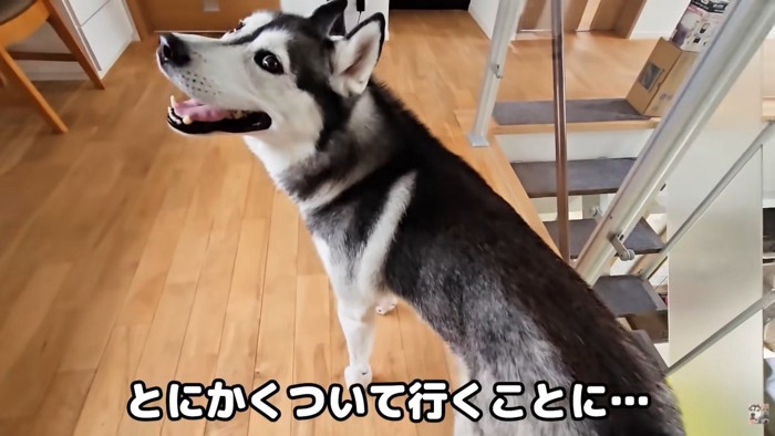 ついて行ってみると…?