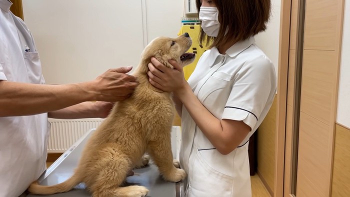 注射に気づかないるこる君