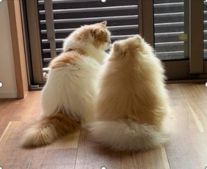 いつでも