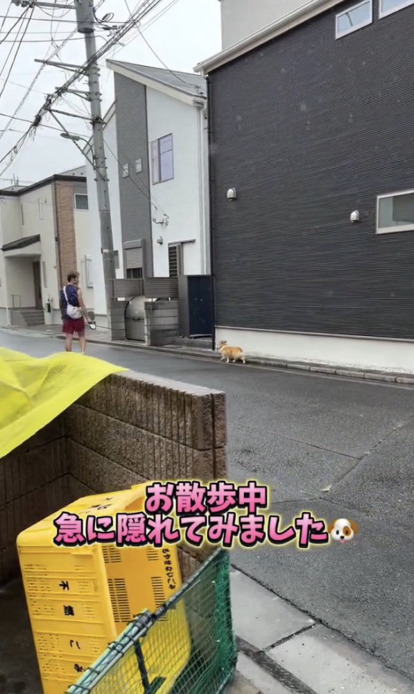 リアクションはいかに？