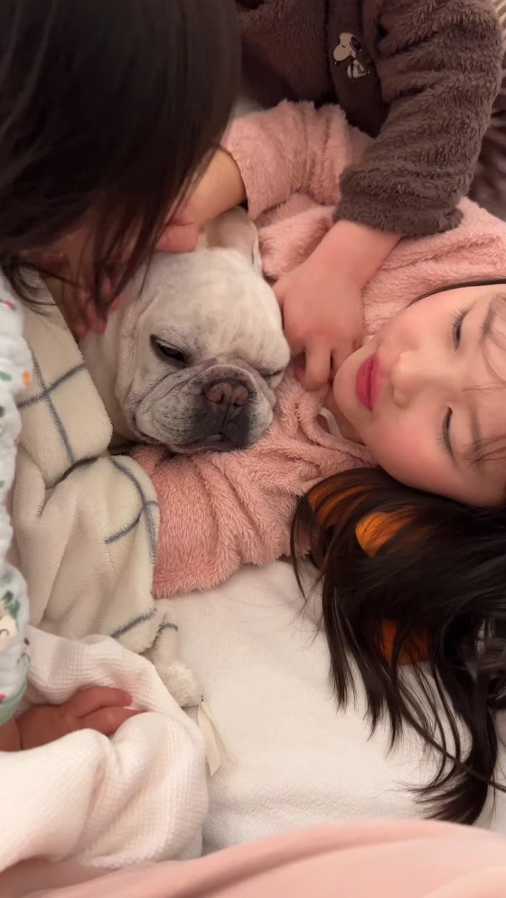 3人の子供に囲まれる犬