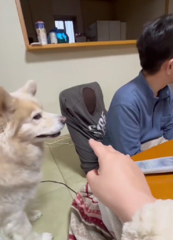 「仕方ないなあ…」